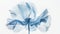 Transparent aery blue flower on white background. Aesthetic concept. Delicate watercolour. Generative AI