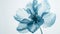 Transparent aery blue flower on white background. Aesthetic concept. Delicate watercolour. Generative AI