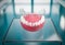 Transparent aligner orthodontic device above teeth cast