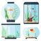 Transparent aquarium vector illustration habitat water tank house underwater fish tank bowl.