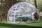 Transparent bell tent in forest, glamping, luxury travel, glamourous camping, lifestyle outdoor