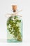 Transparent bottle of thyme essential oil or infusion.