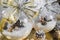 Transparent Christmas balls filled with snow and with the birth of jesus and golden bows