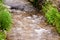 Transparent cold water of a mountain river flows