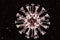 Transparent Coronavirus Seen Through An Electron Microscope