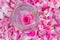 Transparent cream, body gel on a pink background of natural rose petals