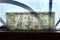 Transparent dollar bill money