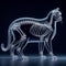 Transparent glass form of cat body with skeleton visible