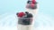 Transparent glasses full of yogurt, panna cotta, white vanilla mousse decorated with berries