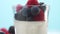 Transparent glasses full of yogurt, panna cotta, white vanilla mousse decorated with berries