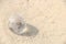 Transparent Globe on sand â€“ Europe