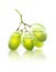 Transparent grapes with juice