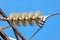 Transparent high voltage insulator garland with electric wire on blue sky background