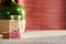 Transparent jar with pink scented petals in the spa salon