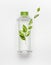 Transparent liquid bottle with green lid. Clear nature water with green flying leaves and branding mock up