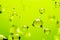 Transparent molecule on green