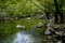 A transparent mountain river flows between stones and green trees