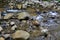 Transparent mountain water flows between stones.