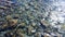 Transparent ocean wanter and pebbles bottom on the coastline of La Caleta village in Costa Adeje, Tenerife, Canary Islands, Spain