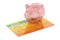 Transparent piggy bank on credit card, 3D rendering