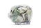Transparent piggy bank with polish money