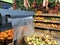 Transparent plastic bags hang in roll in rack in grocery store