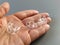 Transparent plastic bobbins from a modern sewing machine in the palm of a woman - a seamstress. Gray background. sewing machines