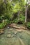 Transparent pool and lush vegetation in Laos