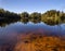 Transparent sandy bottom forest lake in calm summer weather