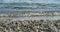 Transparent sea wave rolls onto the shore. Selective focus on wave and defocused sea pebbles in foreground