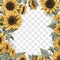 Transparent Sunflowers Frame Border