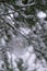 Transparent trendy glass Christmas ball on snowy branch firs in winter forest. Winter holiday background. Copy space