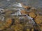 The transparent water running on stones