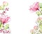 Transparent watercolor rose. Horizontal floral background with place for text. Isolated hand drawn borders with big