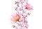 Transparent watercolor rose. Seamless vertical border floral illustration. Isolated hand drawn arrangement with berries