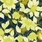 Transparent yellow clematis flowers on climbing twigs against black background. Seamless floral pattern. Watercolor painting.