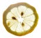 Transparent yellow lemon slice