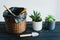 Transplant succulents into beautiful ceramic pots