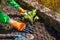 Transplanting variegated tricolor hosta shade tolerant plant in spring garden. Gardener covers plant with soil