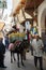 Transport donkeys in the medina