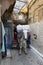 Transport donkeys in the medina