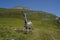 Transport of milk canisters with pulley. Agricultural technology on pastures in Alp mountains.