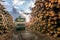 Transport of pine logs in a sawmill