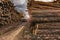 Transport of pine logs in a sawmill