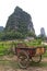 Transportation bicycle in a Chinese landscape