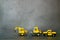 Transportation for the construction site, cargo truck, drill car and road roller