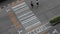 Transportation pedestrians and vehicles crossing on crosswalk during evening day, top angle view or bird eyes shot