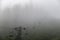 Transportation system chair lift in the Carpathian Mountains in foggy weather