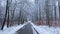 Transportation in winter. Transport, Poland. Asphalt road in snowy forest.