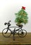 Transporting the Christmas tree by bicycle